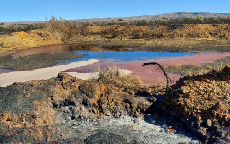 MUNICIPALITY SPILLS BLOOD IN KURUMAN, NOT ABATTOIR