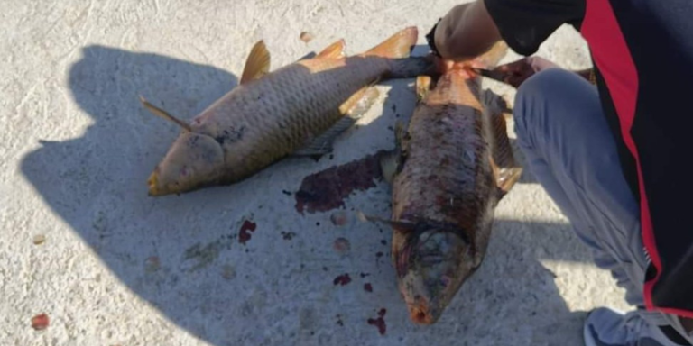 Rioolstorting in Valsrivier moet end kry