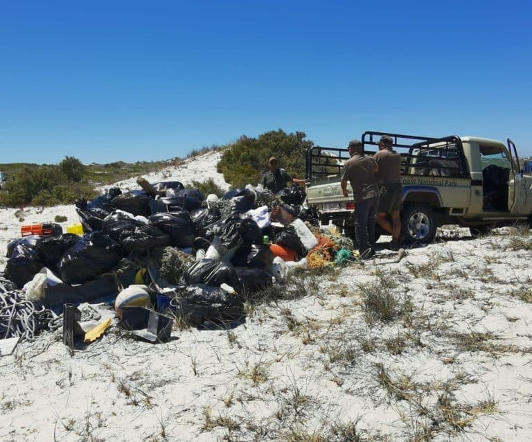 AfriForum en 136 vrywilligers maak saam strande in Langebaan skoon