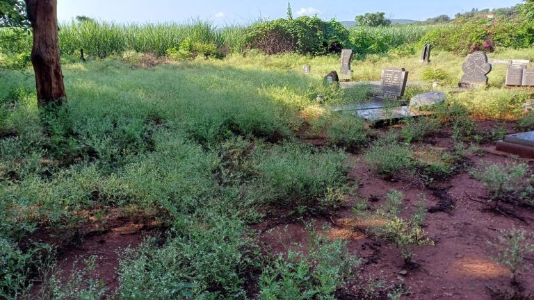 Pongola-tak red toegegroeide begraafplaas van verval