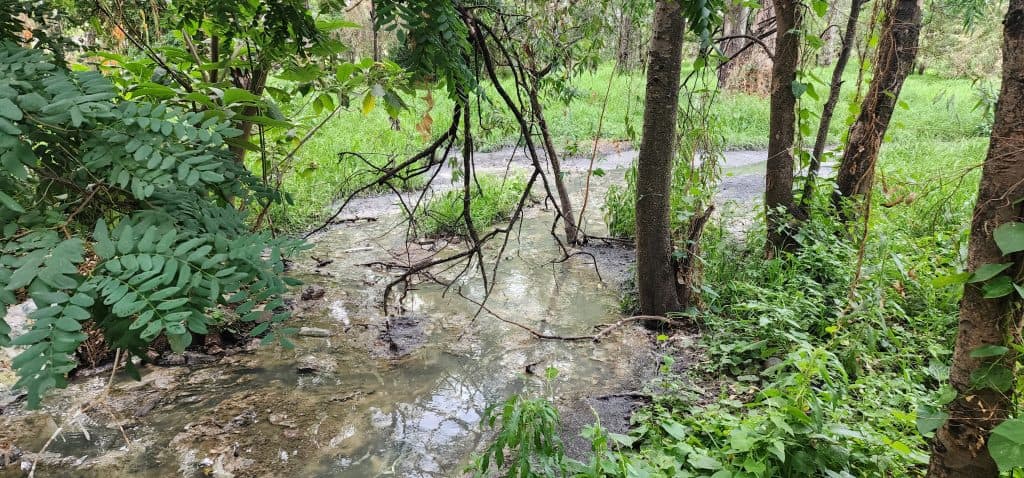 Benoni rioollekkasie