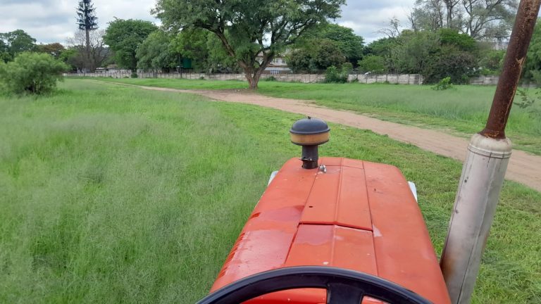 AfriForum sny ses hektaar gras in Rustenburg
