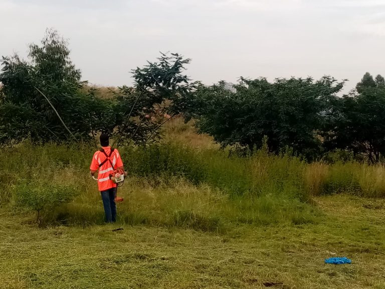 AfriForum se Krugersdorp-buurtspan sny gras dat die stof staan!