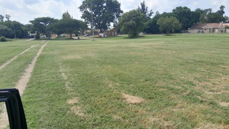 Rustenburg-tak sny 21 hektaar se gras in eerste kwartaal