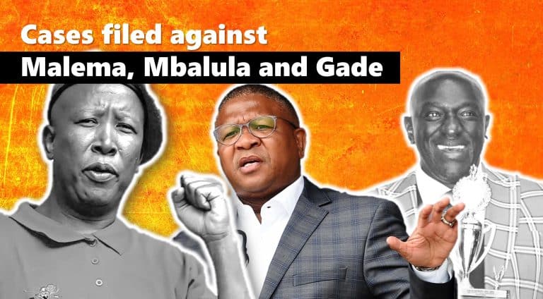 Bergview principal files criminal cases against Mbalula, Malema and Gade for violation of his dignity and intimidation