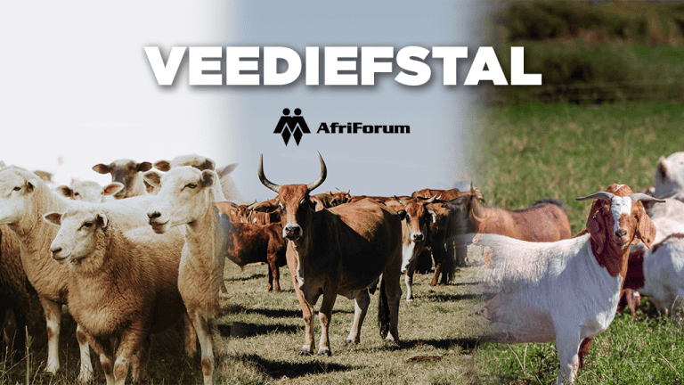 Veediefstalborgaansoek