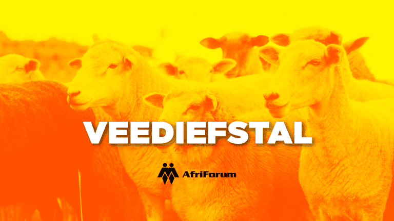 Veediefstalstatistiek gee skewe beeld van werklike omvang van probleem