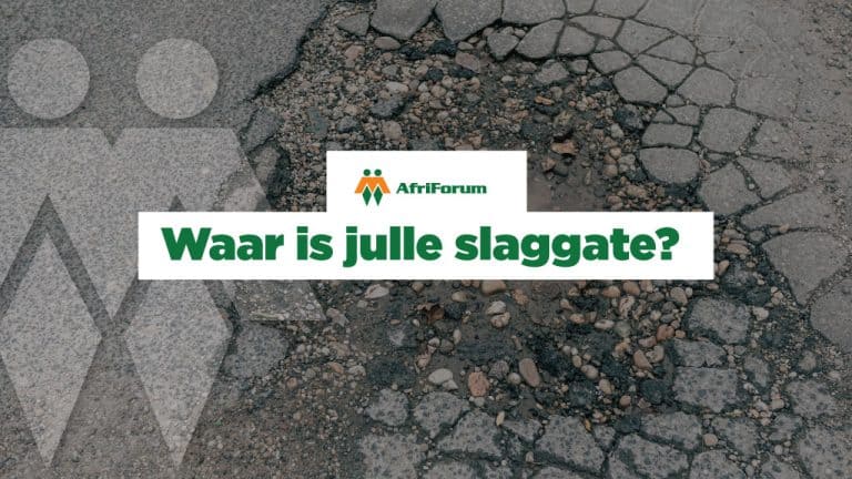Haai, Middelburg!