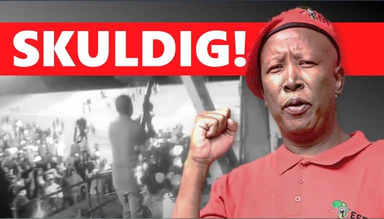 Skuldigbevinding in Malema-vuurwapensaak ’n oorwinning vir aanspreeklikheid en oppergesag van die reg