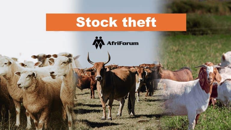 AfriForum demands a national investigation into police involvement in stock theft
