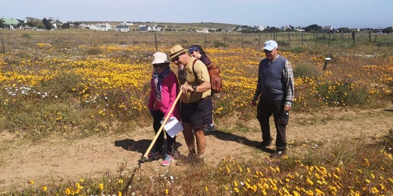 Van Groenkalkoentjies tot Bokhorinkies: AfriForum nooi publiek om Langebaan in volle blom te sien
