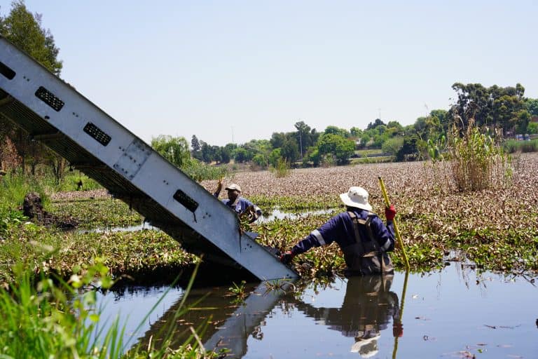 AfriForum files appeal against Ekurhuleni Metro over sewage pollution
