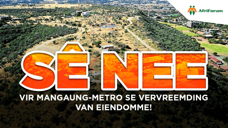 Mangaung-metro se vervreemding van eiendomme