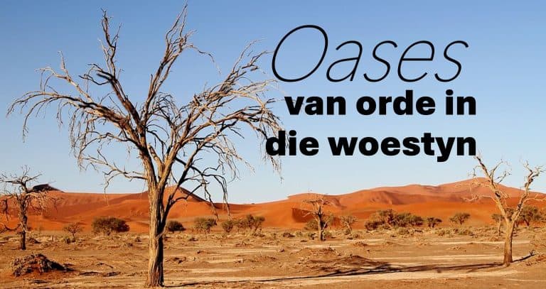 Organisasiebou: Isolasie is dikwels ’n keuse