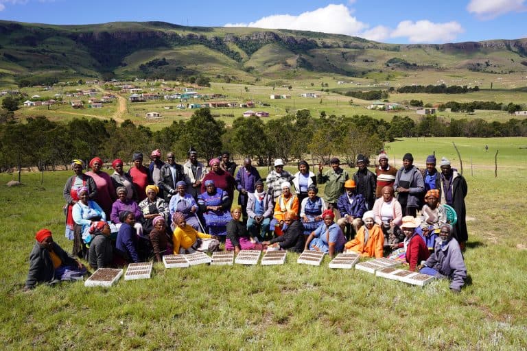 Ukuqeqeshelwa ulimo lwezithole kuyayiphucula imveliso yokutya kwiindawo ezikumaphandle (iilali, njl.) nokuzixhasa  kwabantu basekuhlaleni