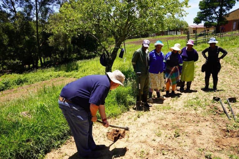 Geskiedkundige vennootskap verseker opleiding in groenteproduksie vir gemeenskapslede