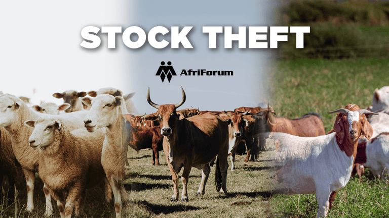 Stock theft