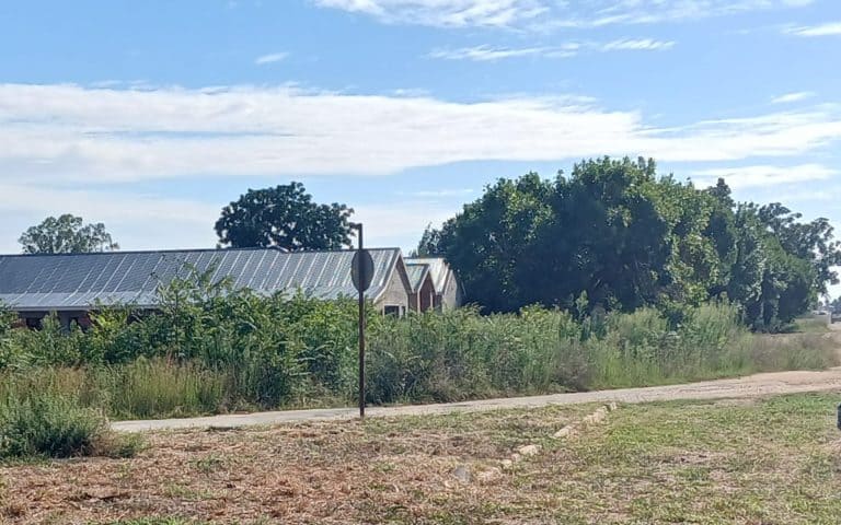 Christiana-tak woeker om dorp skoon te maak