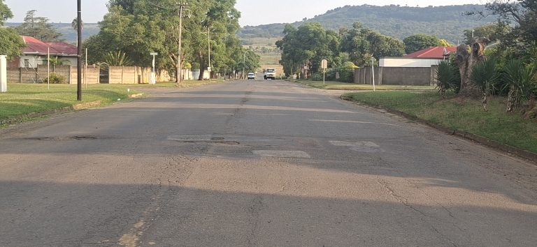 AfriForum-Vryheid-tak versoek munisipaliteit om 46 slaggate in Emmettstraat te herstel