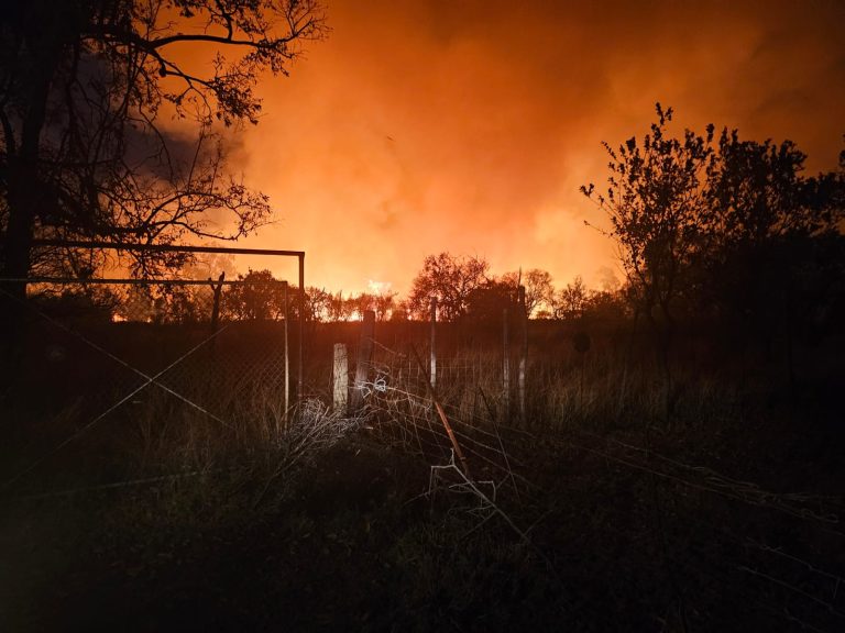 Tref só voorsorg vir veldbrande