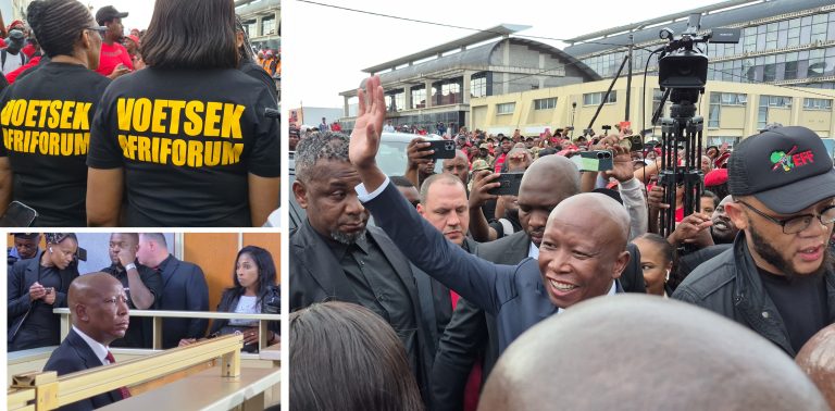 KYK: Malema-vuurwapensaak