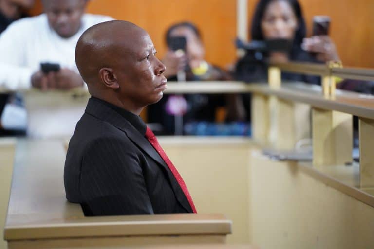 Malema-vonnis bevestig dat politici nie bo wet verhewe is nie – AfriForum