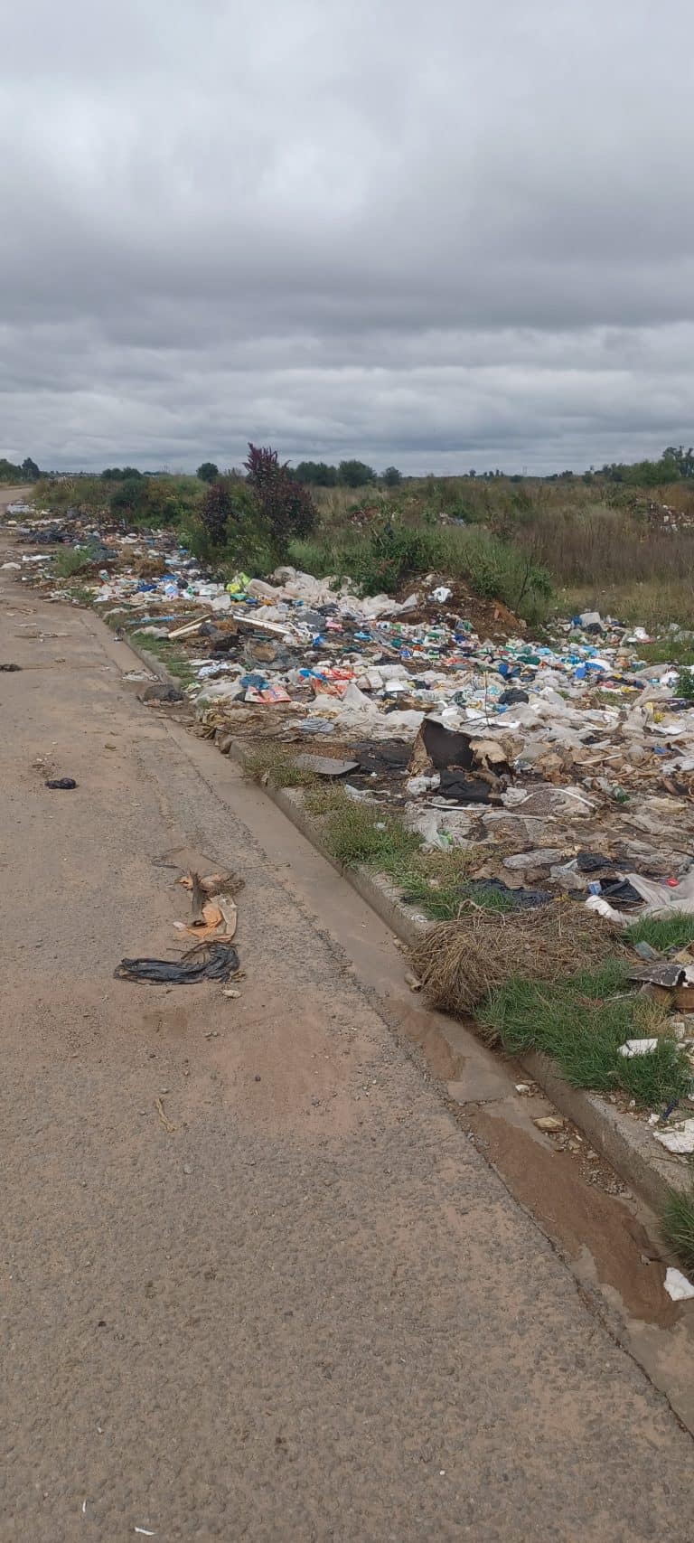 AfriForum eis ingryping teen storting van vullis, karkasse langs Orkney-pad