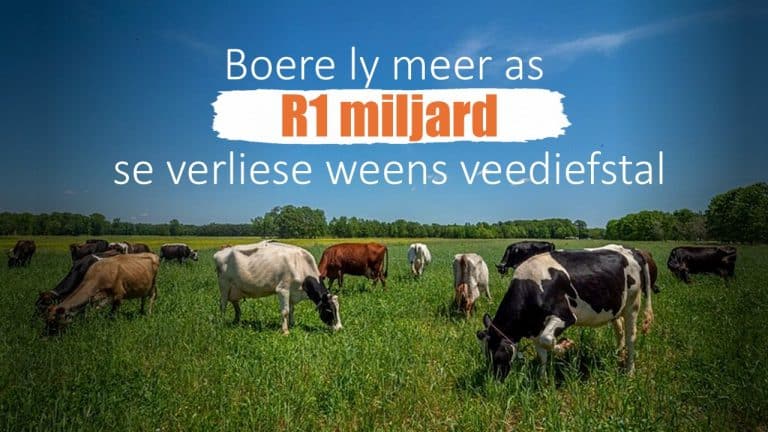 Boere ly in 2025/2026 minstens R1 miljard se verliese weens veediefstal