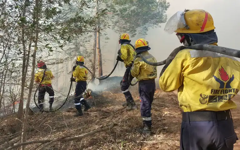 Working on Fire