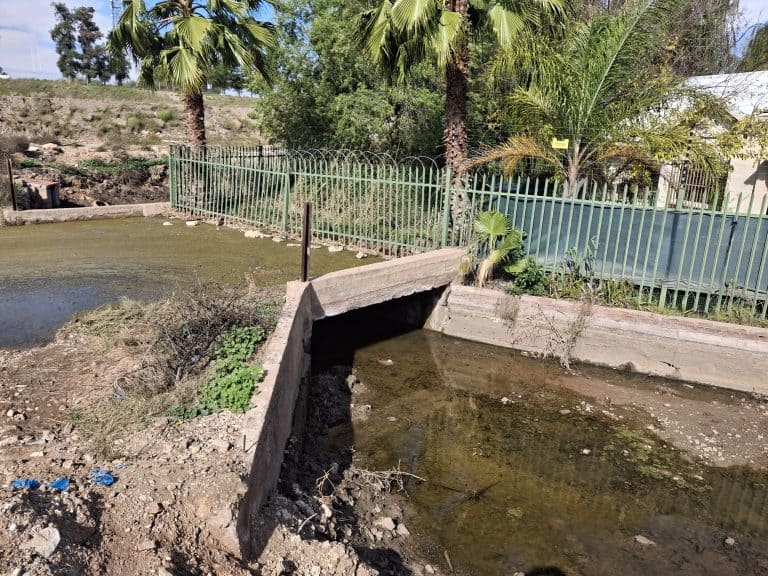 AfriForum demands immediate action on sewage pollution in Upington
