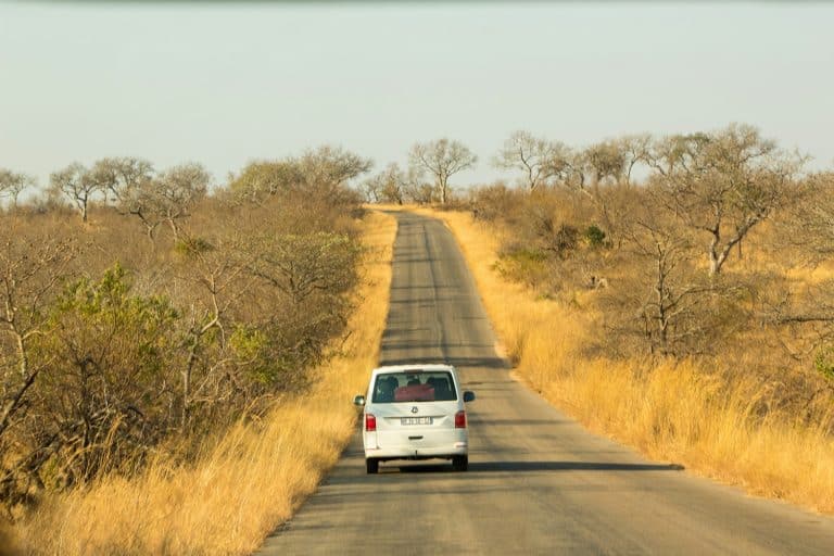 Shocking incident in Kruger National Park a matter of national importance – AfriForum