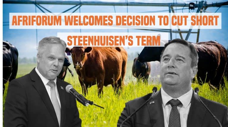 AfriForum welcomes decision to cut short Steenhuisen’s term