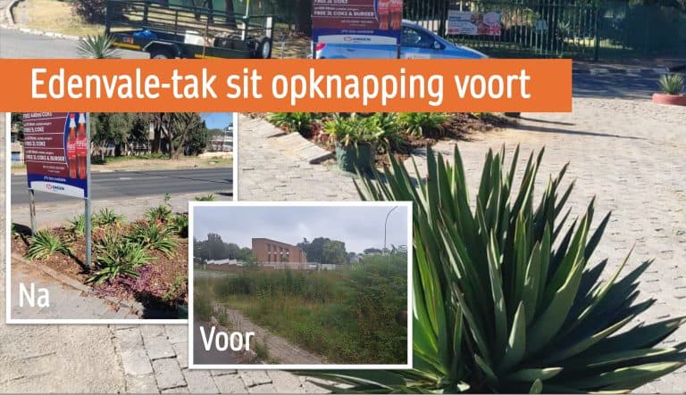 AfriForum se Edenvale-tak sit opknapping van Eastleigh voort