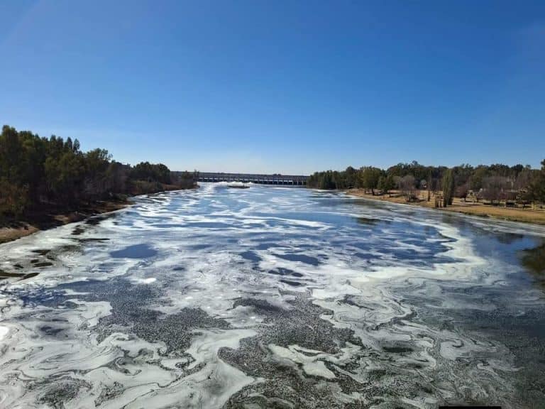 Urgent court application looms if Emfuleni Municipality does not resolve sewage problem.