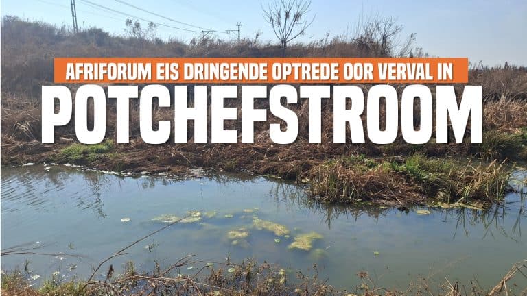 AfriForum eis dringende optrede oor verval in Potchefstroom