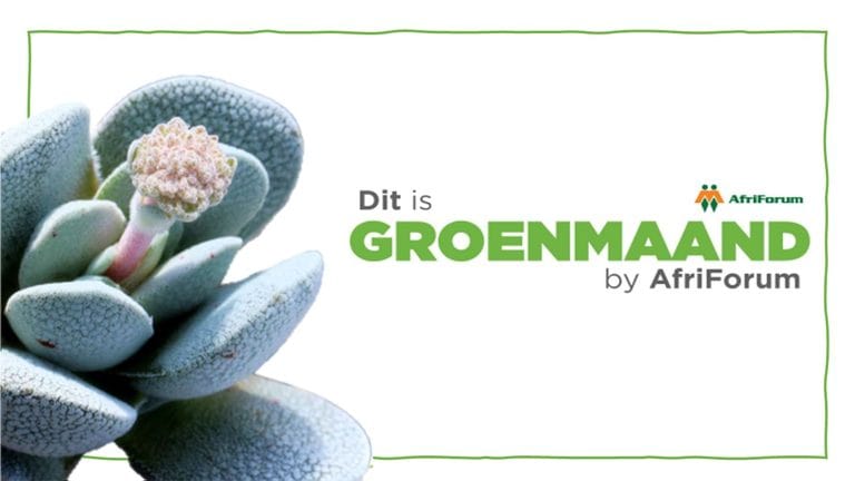 Groenmaand 2026: Statistieke oor vetplante