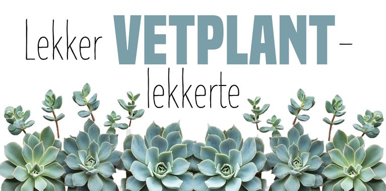 Vetplantlekkerte