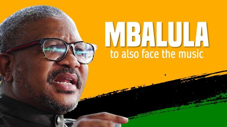 Fikile Mbalula to also face the music for falsely accusing Bergview principal of rape