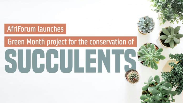 AfriForum launches Green Month project for succulent conservation