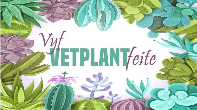 Feite oor vetplante en hul waarde vir die omgewing