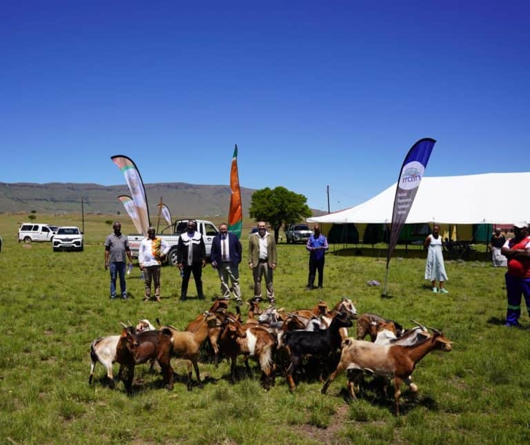 AfriForum and the AmaQwathi launch Nomakhosazana goat project, sign agreement