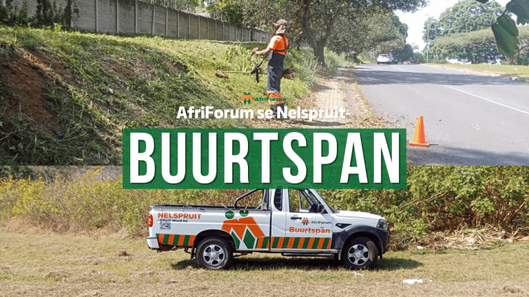 Nelspruit-buurtspan takel agterstallige onderhoud waar munisipaliteit tekortskiet