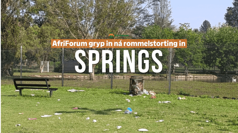Springs-tak knap plaaslike park op ná dit met rommel bestrooi is