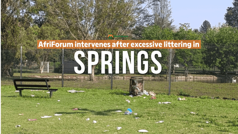Springs branch cleans up local park after widespread littering