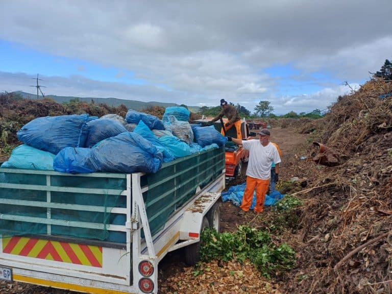 AfriForum verlig Knysna-tuinvullispyn, verwyder 1 050 sakke tuinvullis binne twee dae
