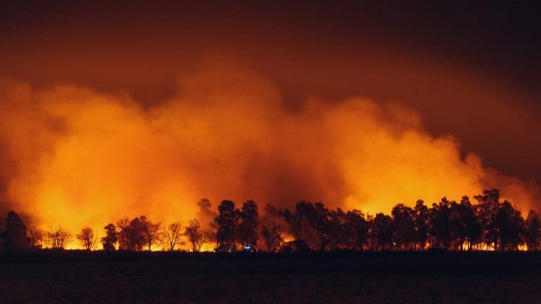 Beskerm jou huis en gesin só teen El Niño-veldbrande